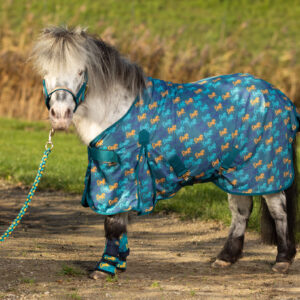 Sea Breeze Pony